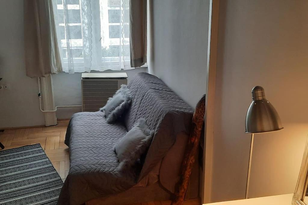 Nice Downtown Apartment Βουδαπέστη Εξωτερικό φωτογραφία
